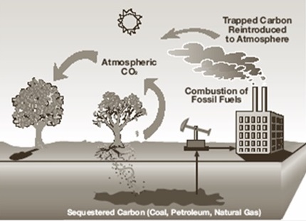 carbon dioxide (CO2) 