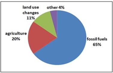  Sources of carbon dioxide	 
