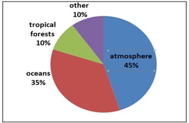  Sinks of greenhouse gases 